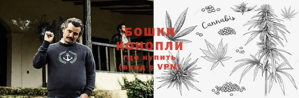 прущие грибы Зеленокумск