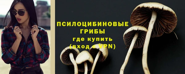прущие грибы Зеленокумск