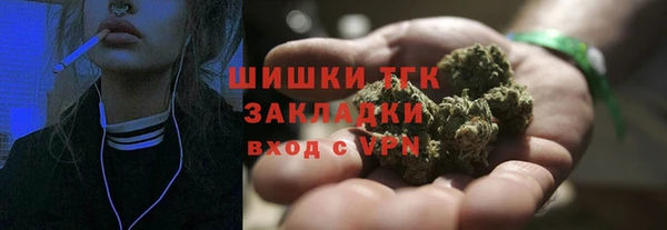 прущие грибы Зеленокумск