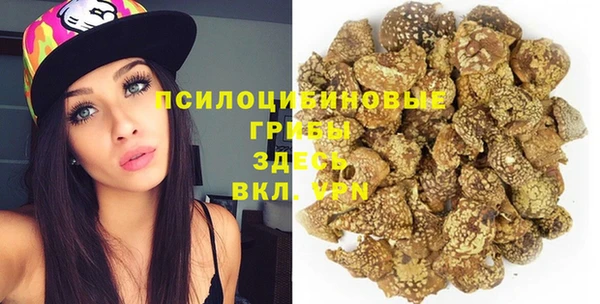 бошки Зеленодольск