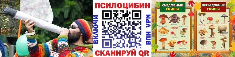 Псилоцибиновые грибы ЛСД  Купить закладки  Ейск 